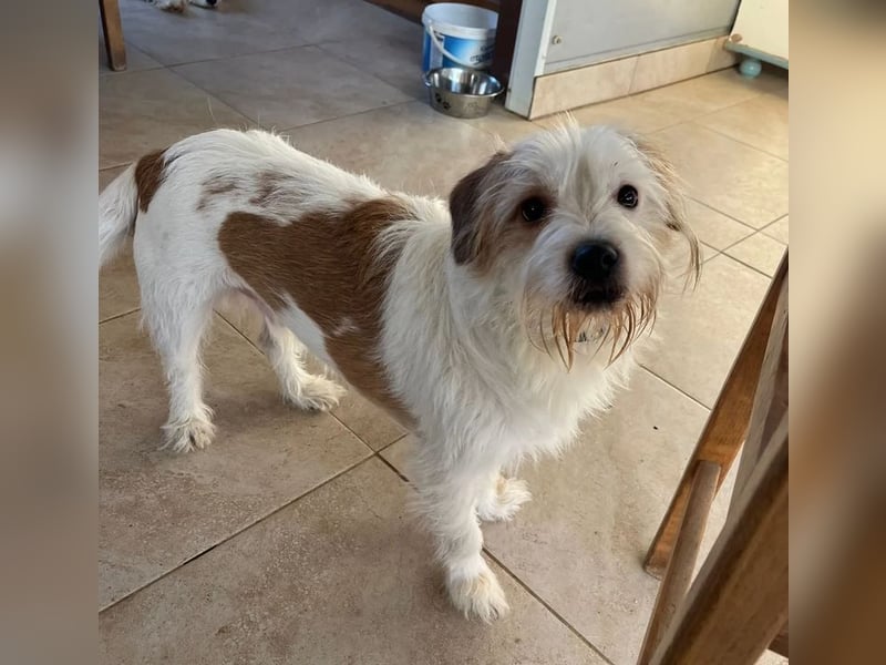 Muzie – freundlich, aufgeschlossen, möchte gefallen 