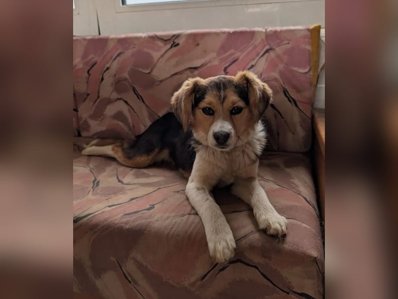 Eleni – bereit für gemeinsame Abenteuer