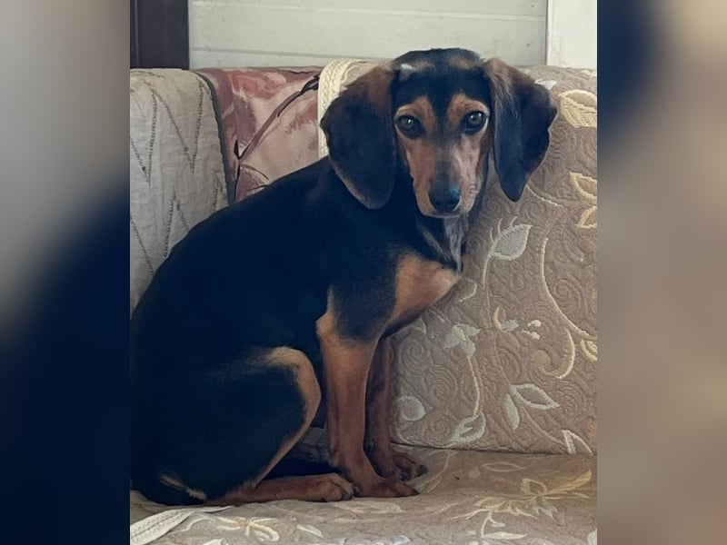 Gundi – vorsichtig und zurückhaltend