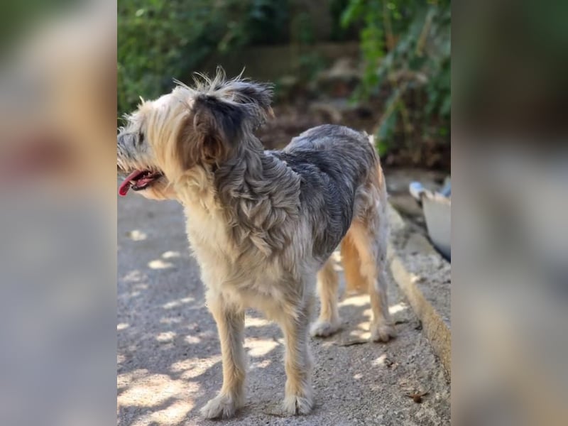 Lotti – wunderschön und noch sehr unsicher 