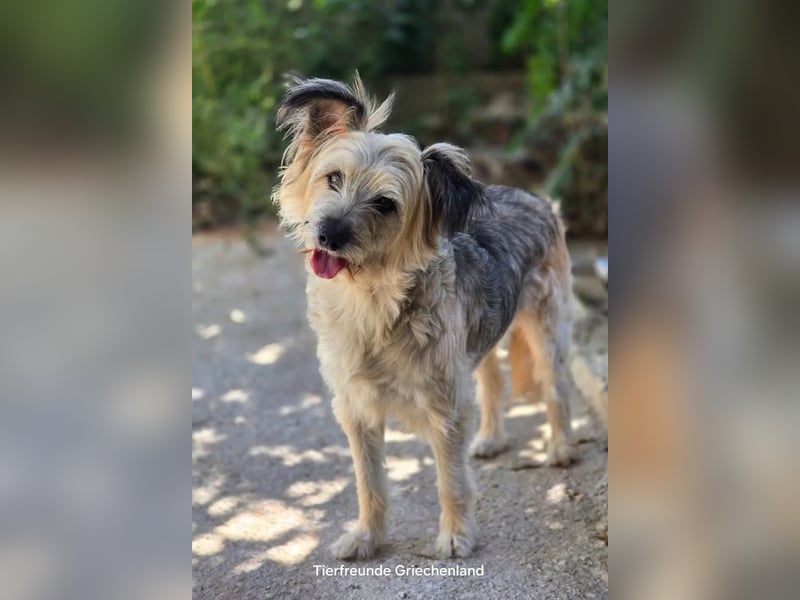 Lotti – wunderschön und noch sehr unsicher 