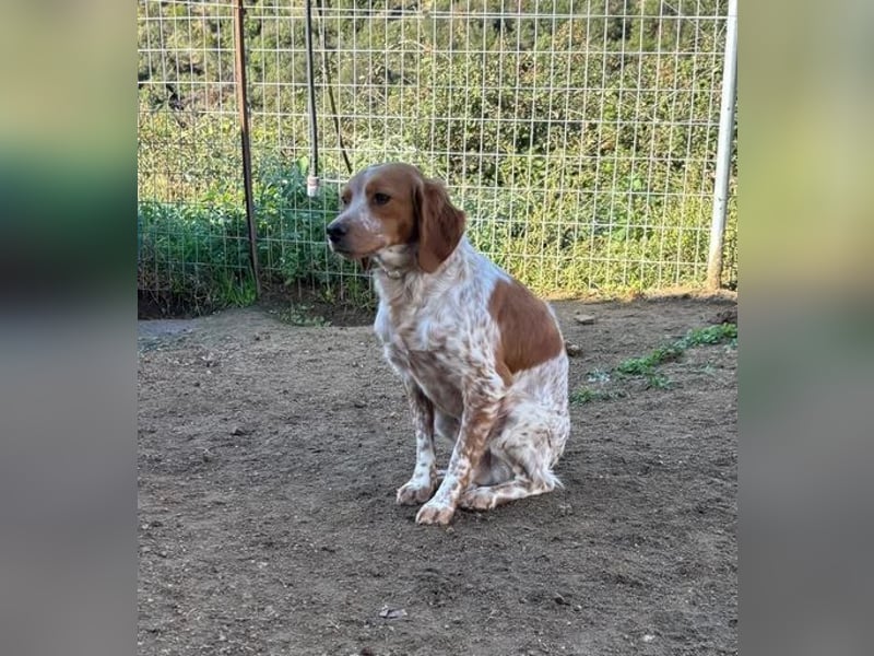  Pepper – der Vorsichtige﻿