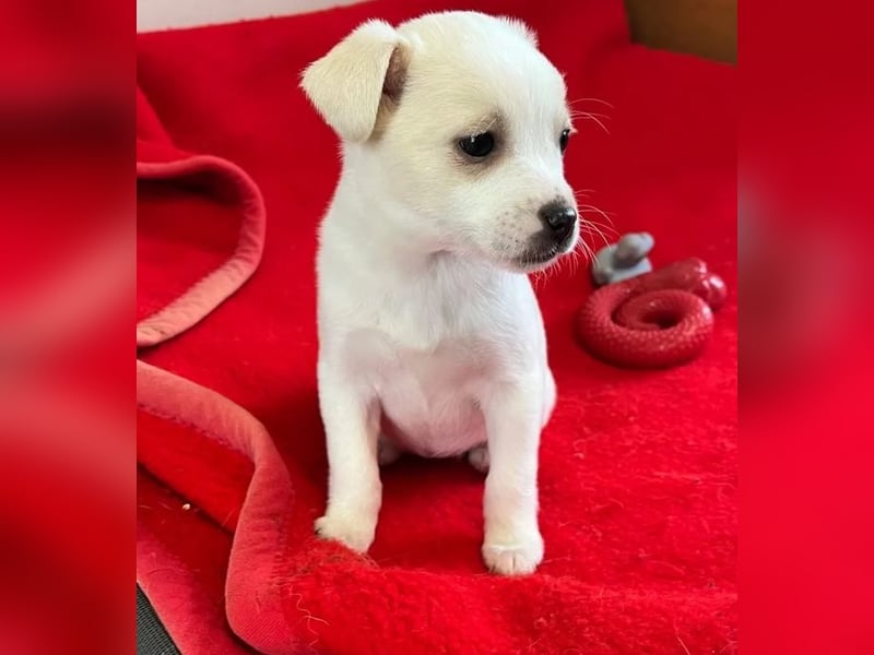 Loni – fröhlich und unbeschwert 