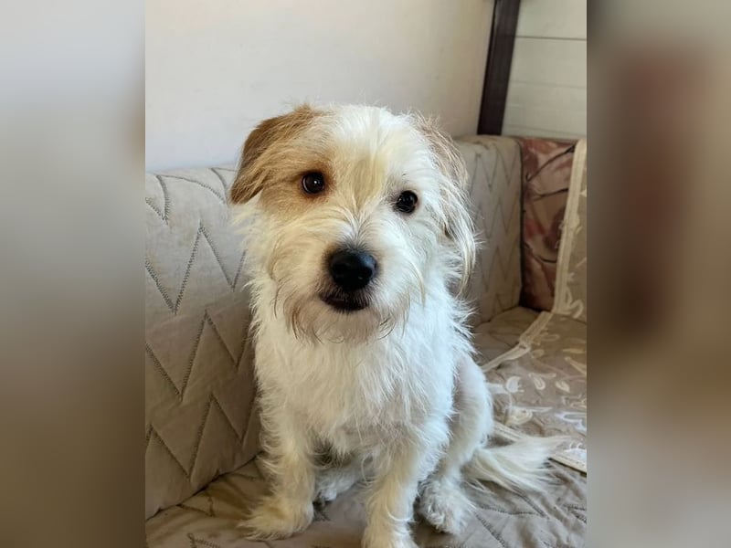 Muzie – freundlich, aufgeschlossen, möchte gefallen 