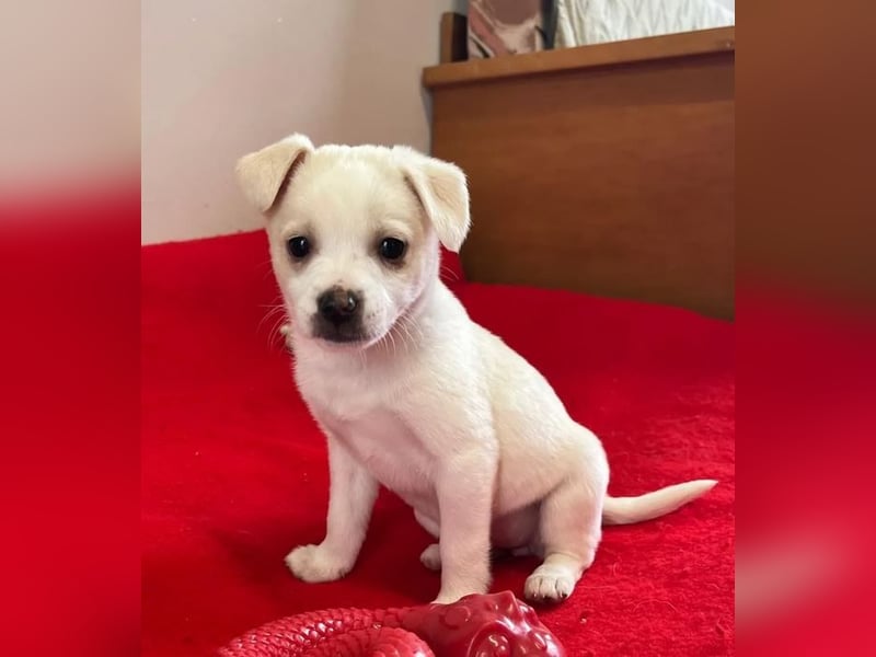 Loni – fröhlich und unbeschwert 