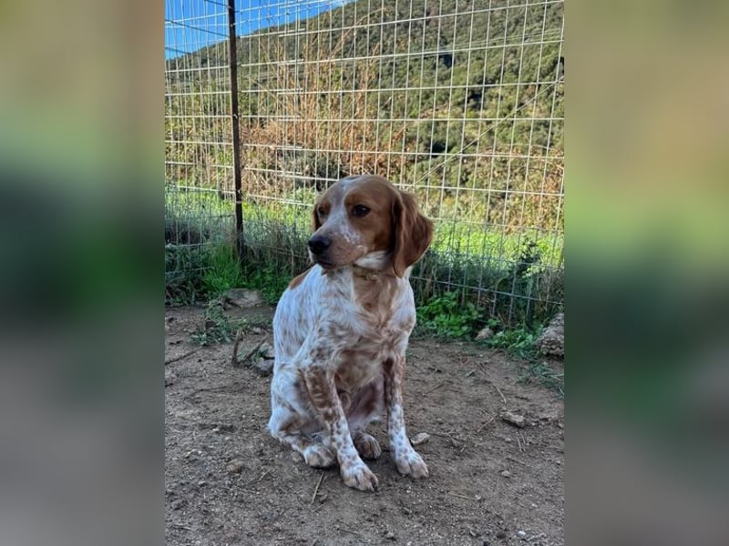  Pepper – der Vorsichtige﻿