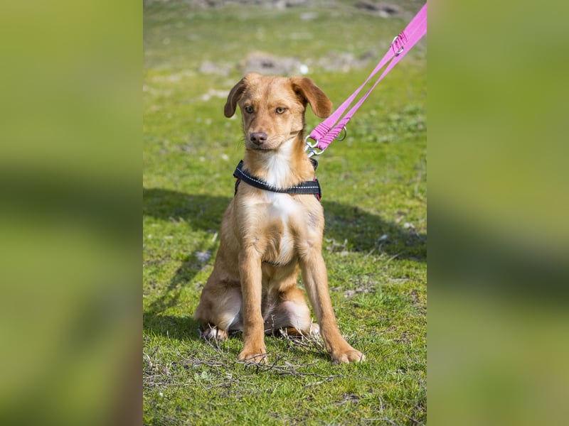 Tefal SI - freundlich, aufgeschlossen