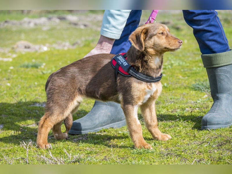 Temu SI - freundlich, offen 