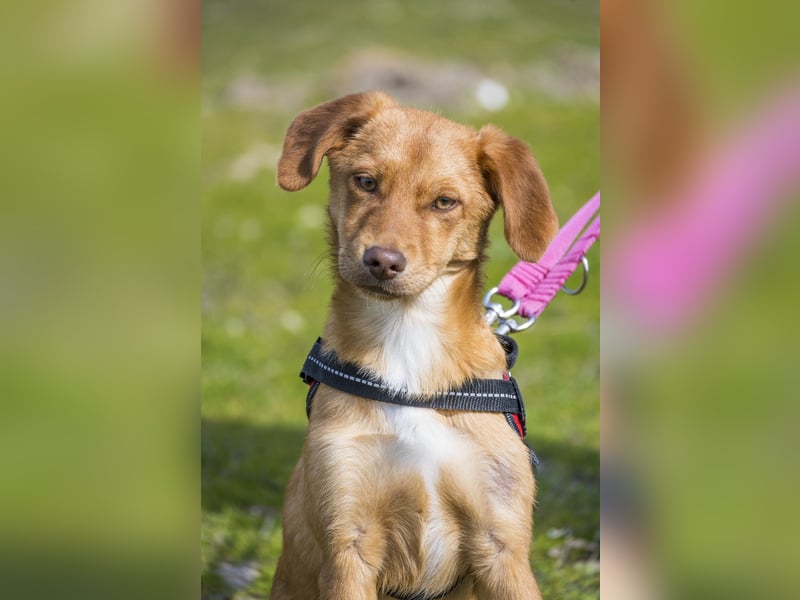 Tefal SI - freundlich, aufgeschlossen