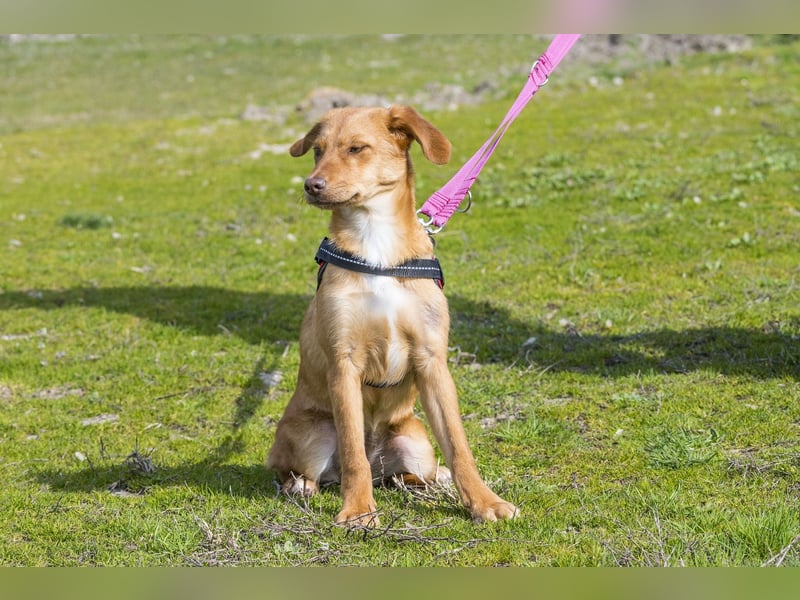 Tefal SI - freundlich, aufgeschlossen