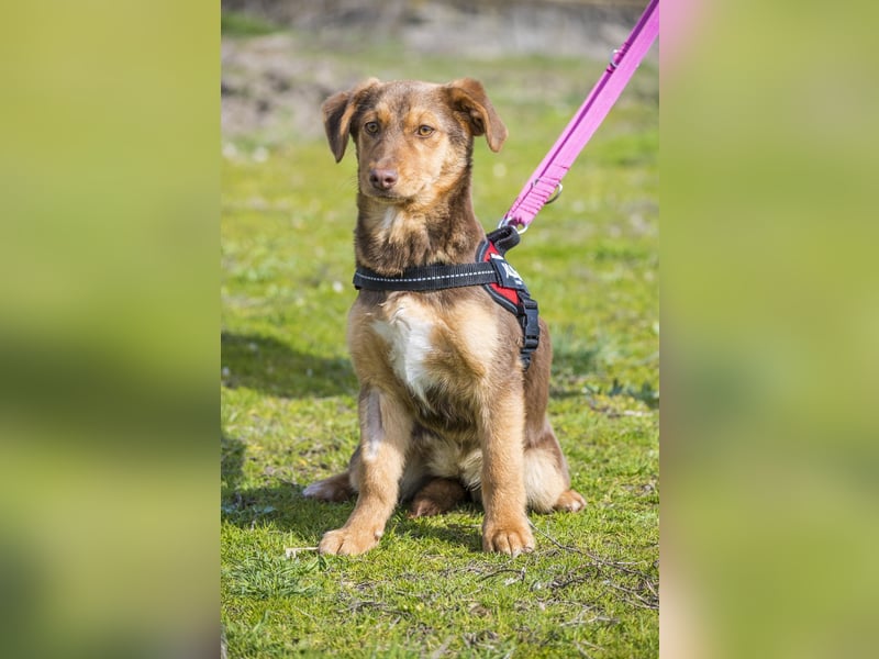 Temu SI - freundlich, offen 