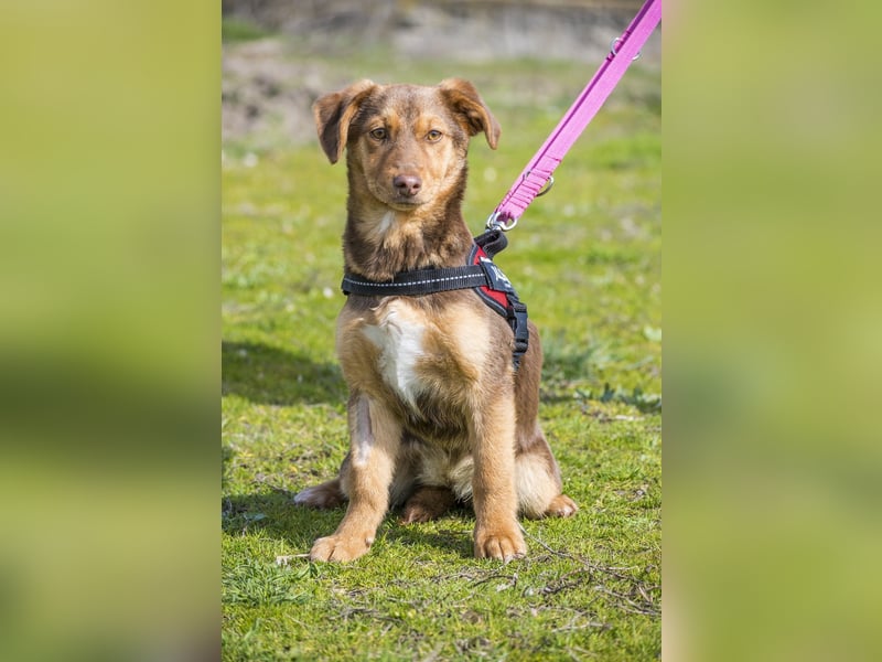 Temu SI - freundlich, offen 