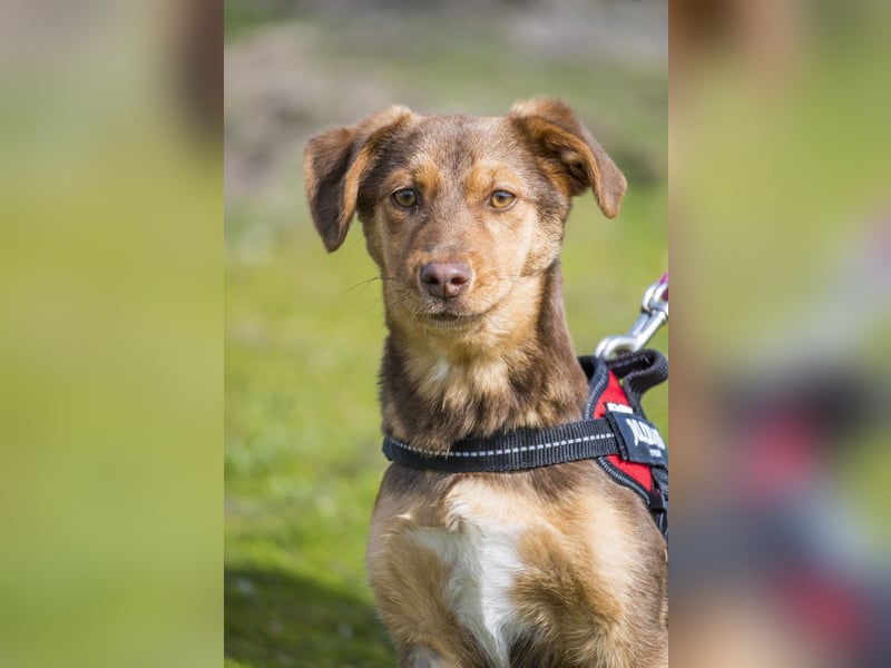 Temu SI - freundlich, offen 