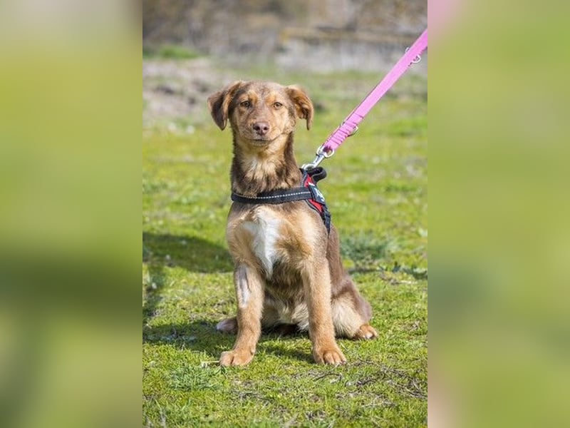 Temu SI - freundlich, offen 