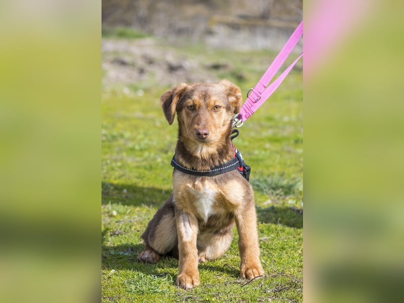 Temu SI - freundlich, offen 