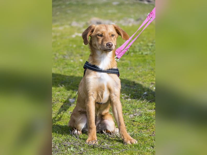 Tefal SI - freundlich, aufgeschlossen