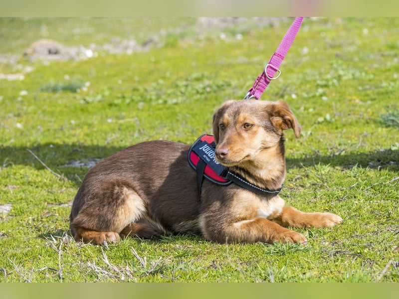 Temu SI - freundlich, offen 