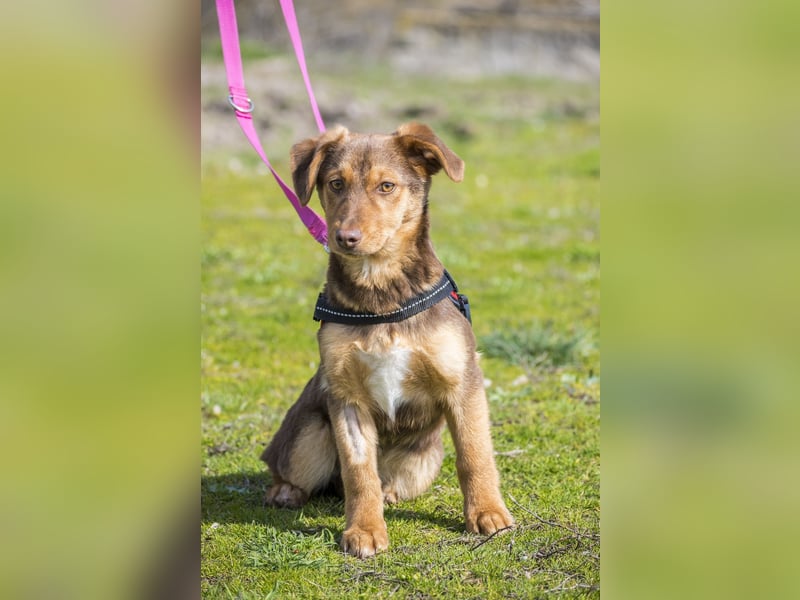 Temu SI - freundlich, offen 