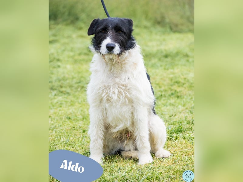 Aldo SI - kinderfreundlich 