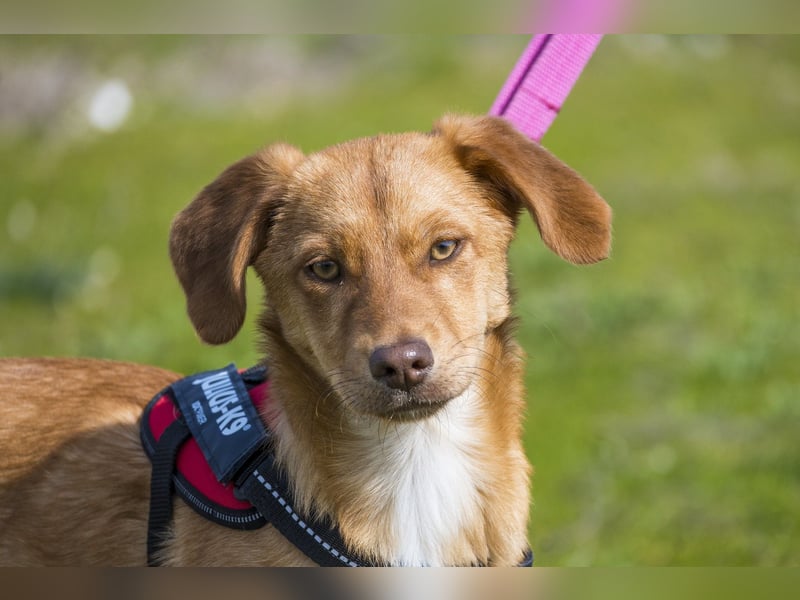 Tefal SI - freundlich, aufgeschlossen