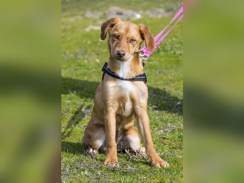 Tefal SI - freundlich, aufgeschlossen