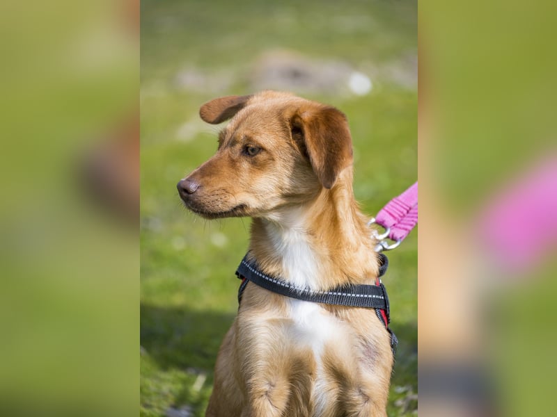 Tefal SI - freundlich, aufgeschlossen