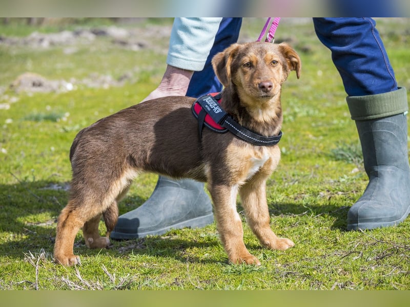 Temu SI - freundlich, offen 