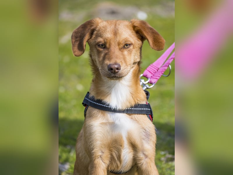 Tefal SI - freundlich, aufgeschlossen