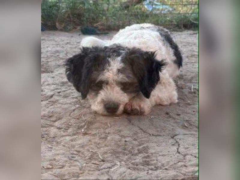 Kenny - Team Iuliana
