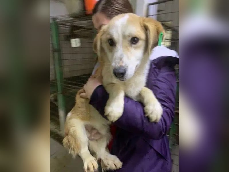 ♥FLORI♥ niedlicher, anfangs noch vorsichtiger, sensibler kleiner Junior 30 cm