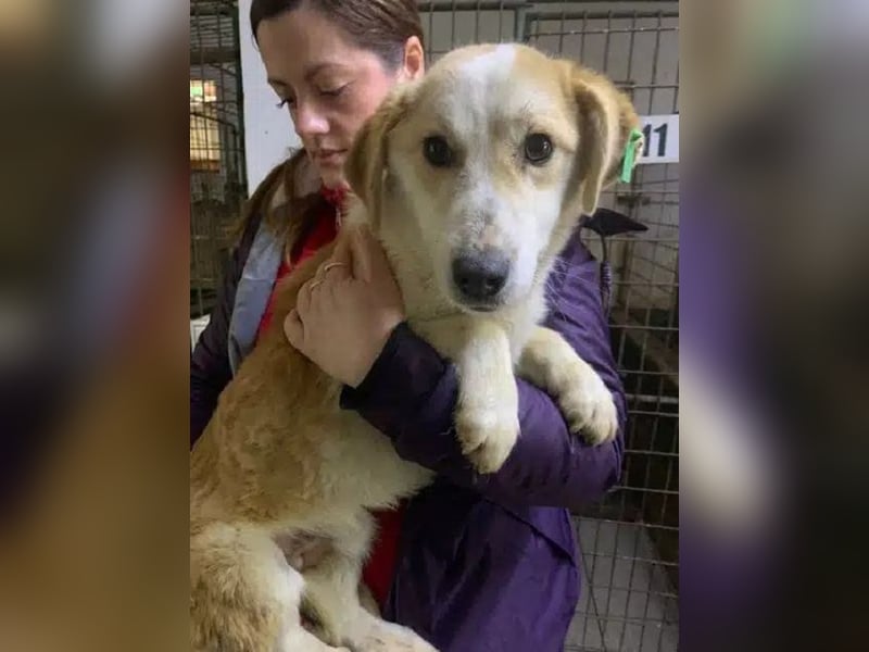 ♥FLORI♥ niedlicher, anfangs noch vorsichtiger, sensibler kleiner Junior 30 cm