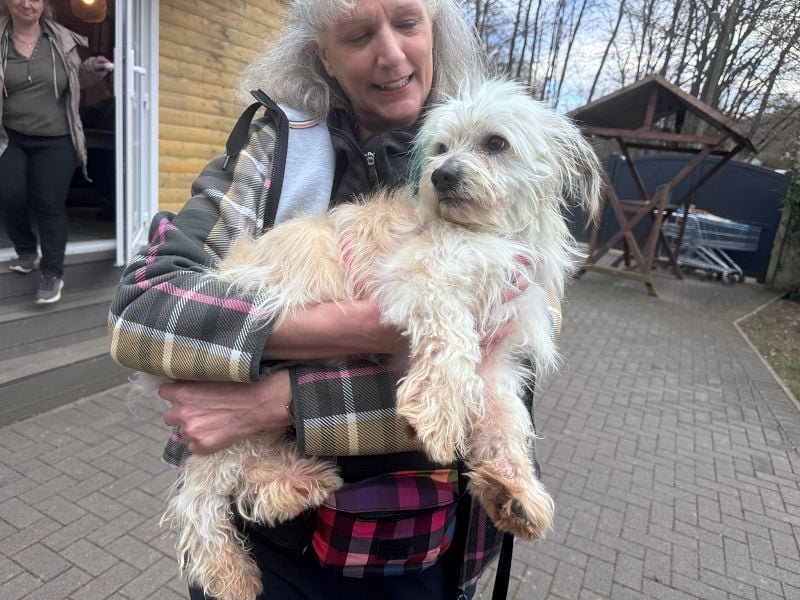 ♥YUMI♥ neu auf Pflegestelle bei Duisburg - süßer, sehr zutraulicher kleiner Wuschelmann 35cm