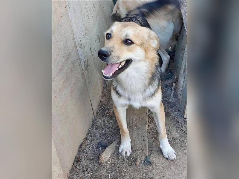 Pok ein ganz feiner Kerl !!