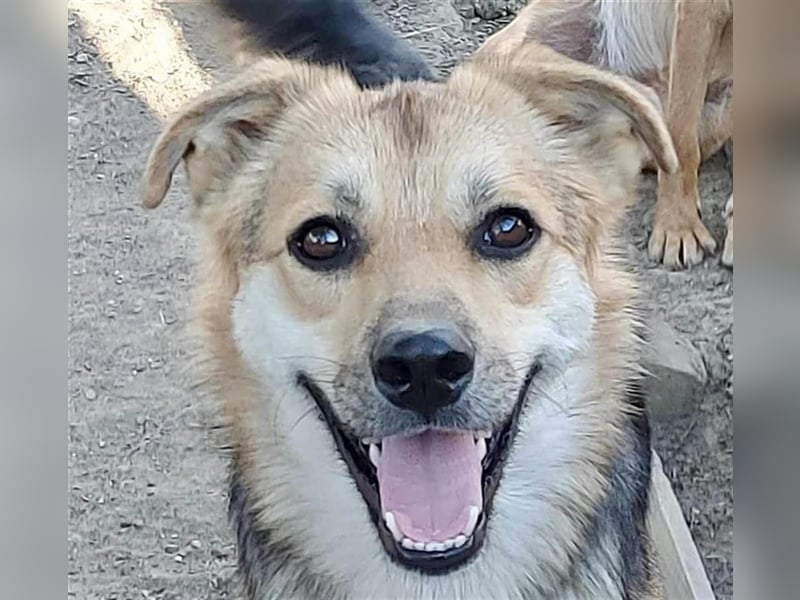 Pok ein ganz feiner Kerl !!