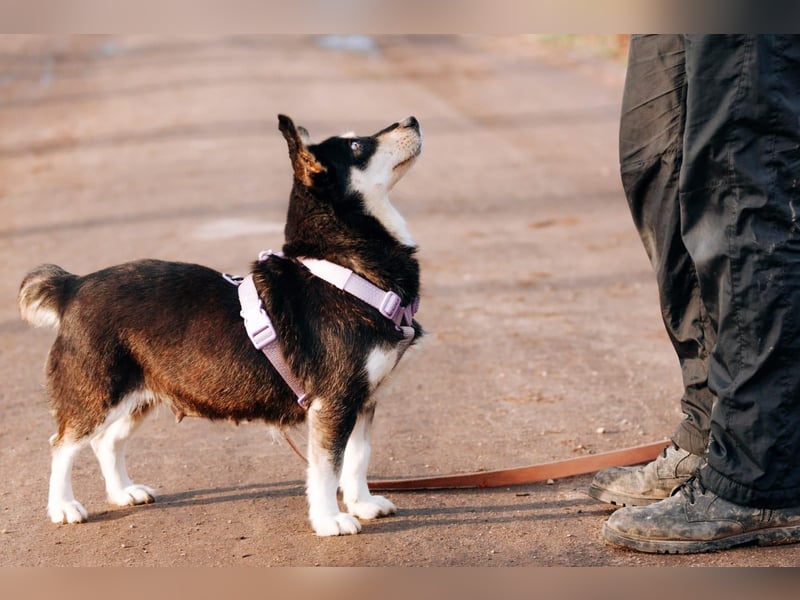 Traumhaft schöne Ketty ❤️ sucht ihre Herzensmenschen