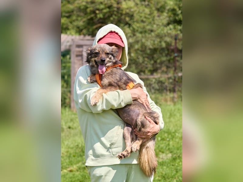Martyschka ❤️ fröhliche junge Hündin sucht ihr Für-immer-Zuhause