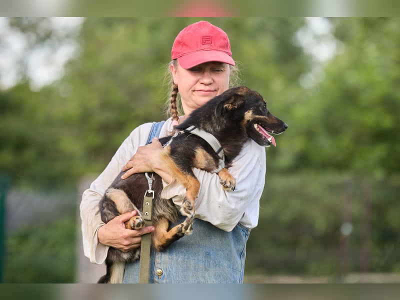 Kilka ❤️ kleine Begleiterin sucht liebevolle Menschen