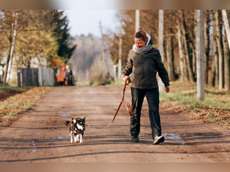 Traumhaft schöne Ketty ❤️ sucht ihre Herzensmenschen