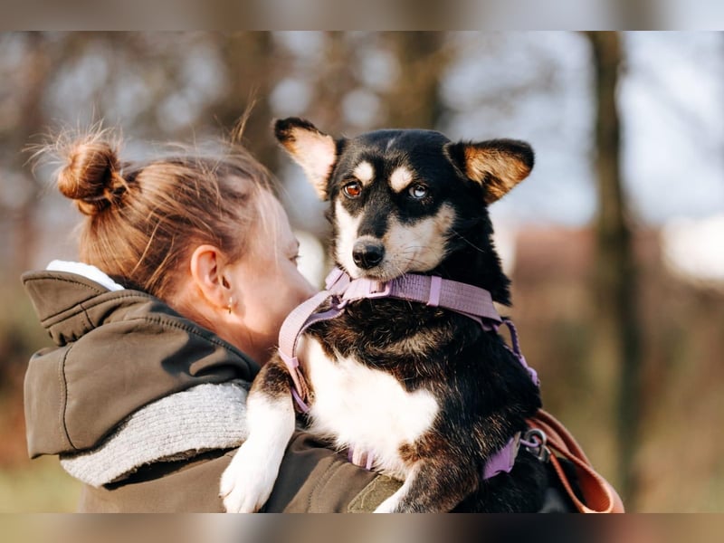 Traumhaft schöne Ketty ❤️ sucht ihre Herzensmenschen