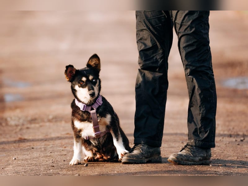 Traumhaft schöne Ketty ❤️ sucht ihre Herzensmenschen