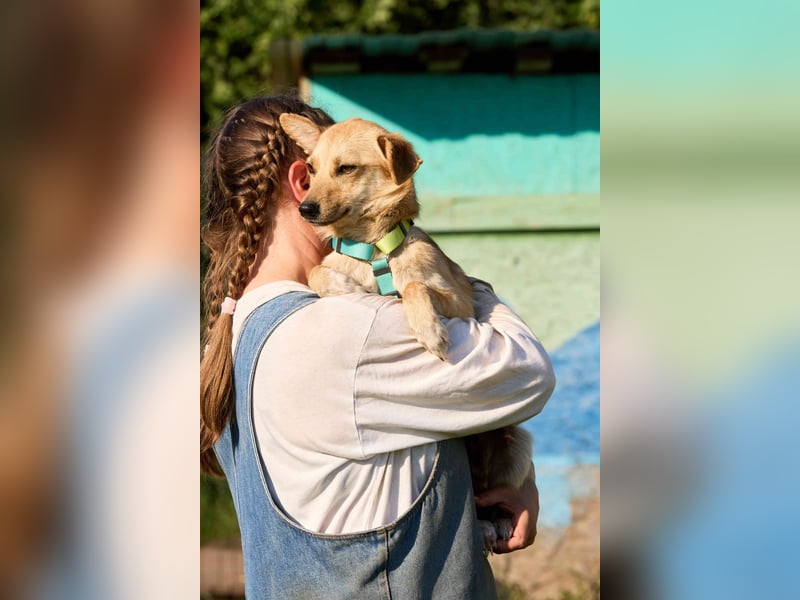 Kuschelige und lernbereite Tasia ❤️ sucht ein passendes Zuhause