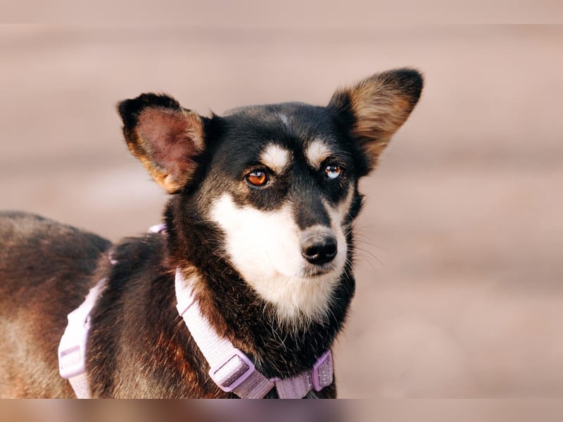 Traumhaft schöne Ketty ❤️ sucht ihre Herzensmenschen
