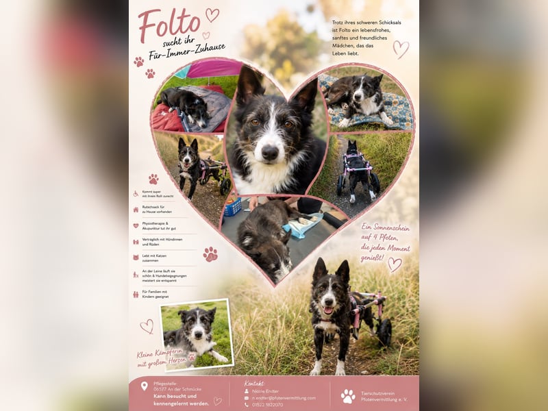 Folto ❤️ kleine Kämpferin sucht ihr Für-immer-Zuhause