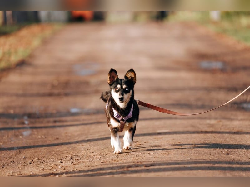 Traumhaft schöne Ketty ❤️ sucht ihre Herzensmenschen