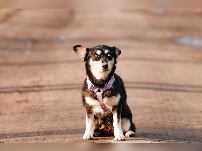 Traumhaft schöne Ketty ❤️ sucht ihre Herzensmenschen