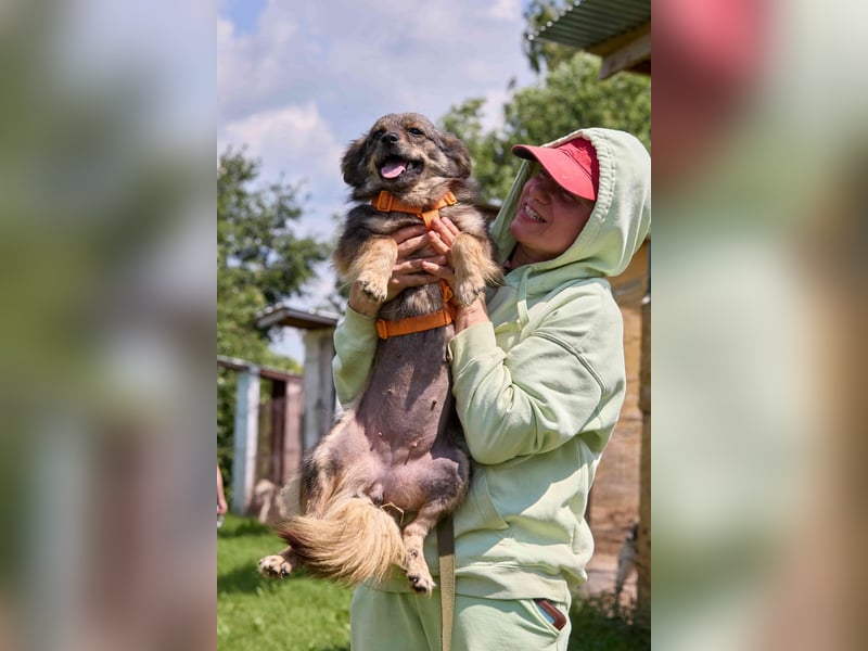 Martyschka ❤️ fröhliche junge Hündin sucht ihr Für-immer-Zuhause