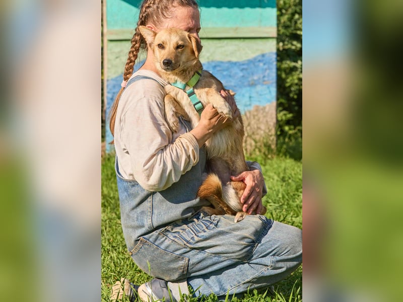 Kuschelige und lernbereite Tasia ❤️ sucht ein passendes Zuhause