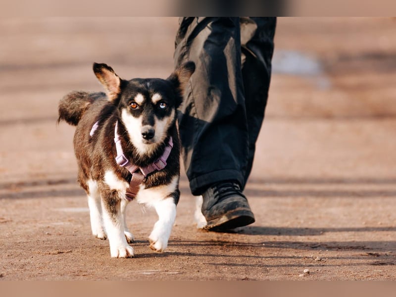 Traumhaft schöne Ketty ❤️ sucht ihre Herzensmenschen