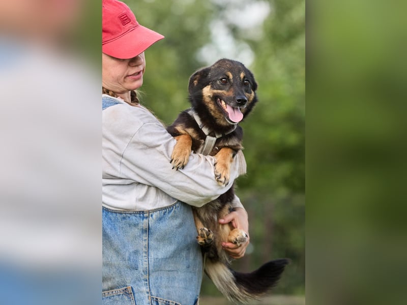 Kilka ❤️ kleine Begleiterin sucht liebevolle Menschen