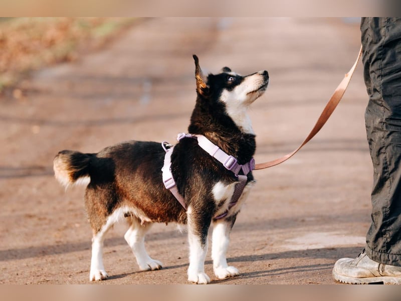 Traumhaft schöne Ketty ❤️ sucht ihre Herzensmenschen